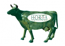 Alles over HORTA